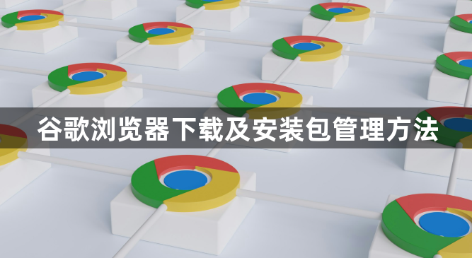 谷歌浏览器下载及安装包管理方法1