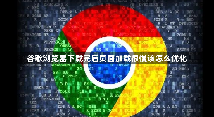 谷歌浏览器下载完后页面加载很慢该怎么优化1