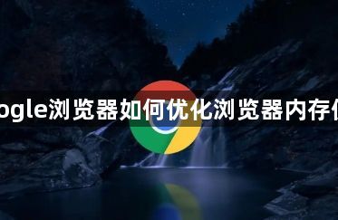 google浏览器如何优化浏览器内存使用1