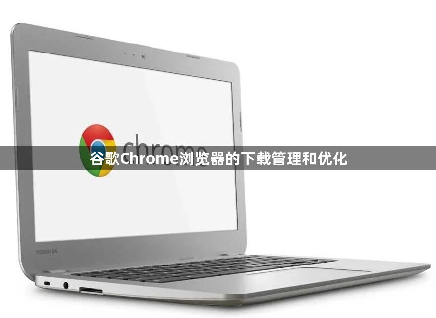 谷歌Chrome浏览器的下载管理和优化1