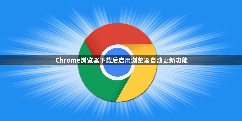 Chrome浏览器下载后启用浏览器自动更新功能1