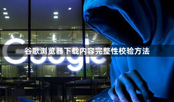 谷歌浏览器下载内容完整性校验方法1