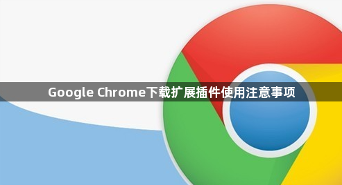Google Chrome下载扩展插件使用注意事项1