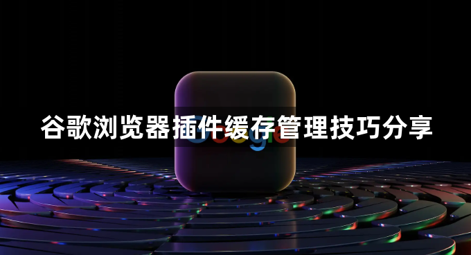 谷歌浏览器插件缓存管理技巧分享1
