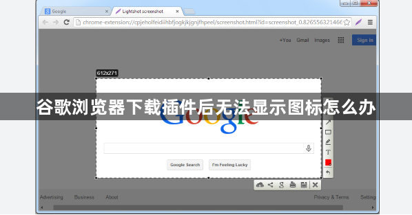 谷歌浏览器下载插件后无法显示图标怎么办1
