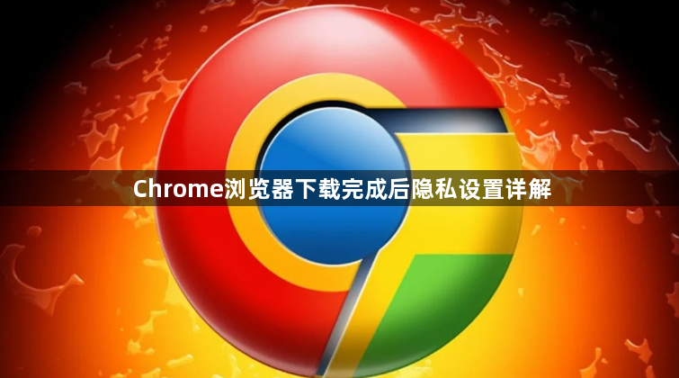 Chrome浏览器下载完成后隐私设置详解1