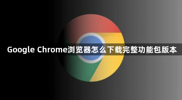 Google Chrome浏览器怎么下载完整功能包版本1