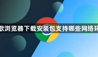 谷歌浏览器下载安装包支持哪些网络环境1