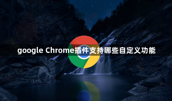 google Chrome插件支持哪些自定义功能1