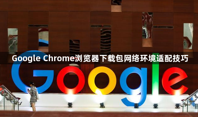 Google Chrome浏览器下载包网络环境适配技巧1