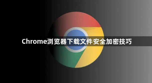 Chrome浏览器下载文件安全加密技巧1