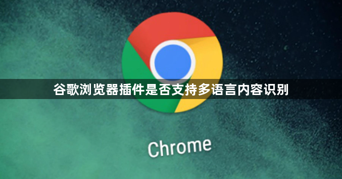 谷歌浏览器插件是否支持多语言内容识别1