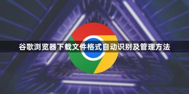 谷歌浏览器下载文件格式自动识别及管理方法1