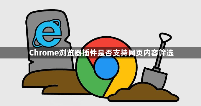 Chrome浏览器插件是否支持网页内容筛选1