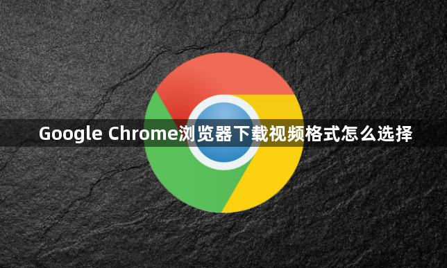 Google Chrome浏览器下载视频格式怎么选择1