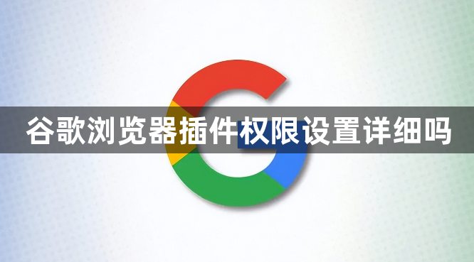 谷歌浏览器插件权限设置详细吗1