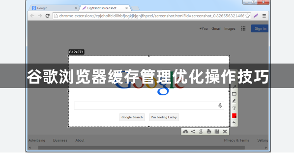 谷歌浏览器缓存管理优化操作技巧1