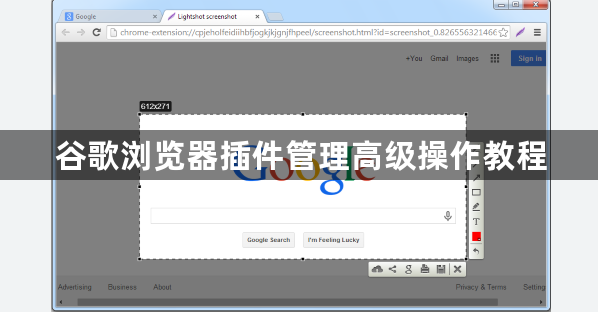 谷歌浏览器插件管理高级操作教程1