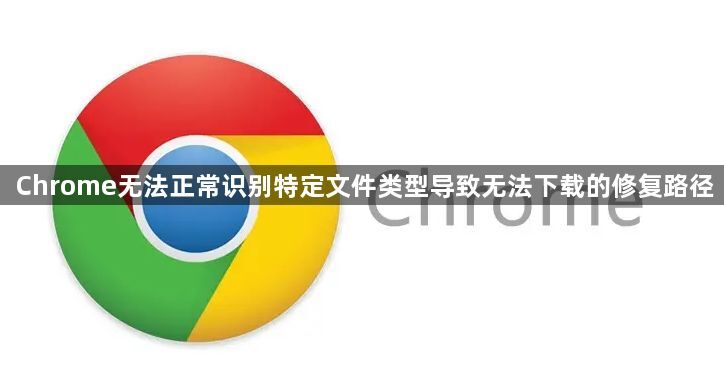 Chrome无法正常识别特定文件类型导致无法下载的修复路径1