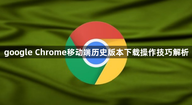 google Chrome移动端历史版本下载操作技巧解析1