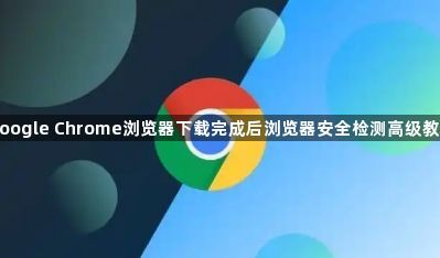 google Chrome浏览器下载完成后浏览器安全检测高级教程1