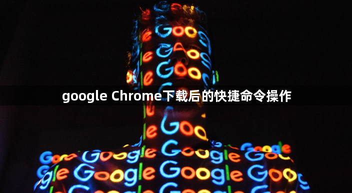 google Chrome下载后的快捷命令操作1