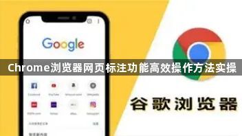 Chrome浏览器网页标注功能高效操作方法实操1