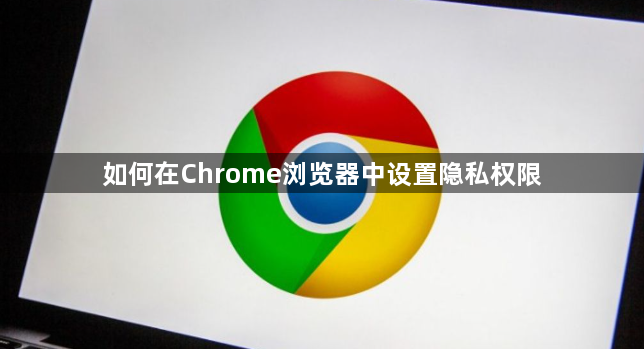 如何在Chrome浏览器中设置隐私权限1