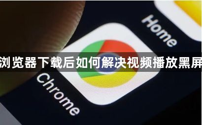 谷歌浏览器下载后如何解决视频播放黑屏问题1
