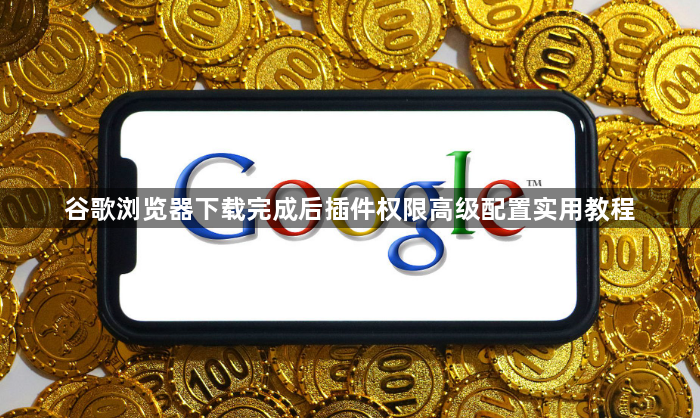 谷歌浏览器下载完成后插件权限高级配置实用教程1