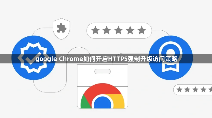 google Chrome如何开启HTTPS强制升级访问策略1
