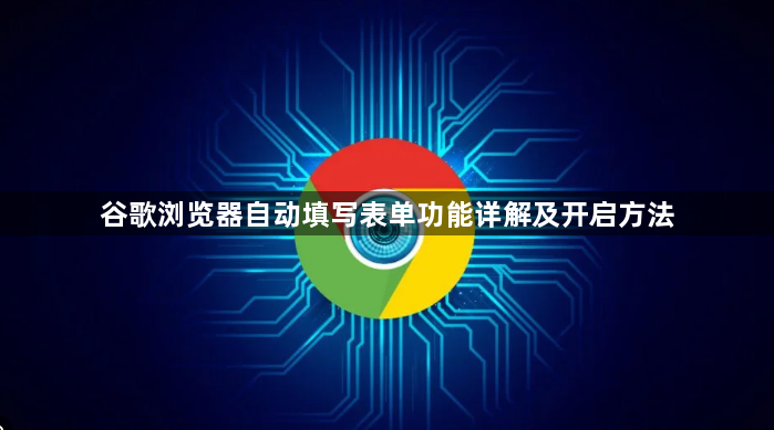 谷歌浏览器自动填写表单功能详解及开启方法1
