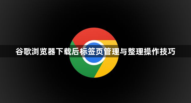 谷歌浏览器下载后标签页管理与整理操作技巧1