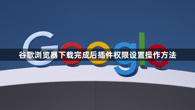 谷歌浏览器下载完成后插件权限设置操作方法1