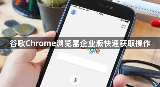 谷歌Chrome浏览器企业版快速获取操作1