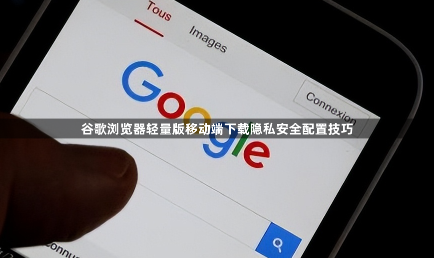 谷歌浏览器轻量版移动端下载隐私安全配置技巧1